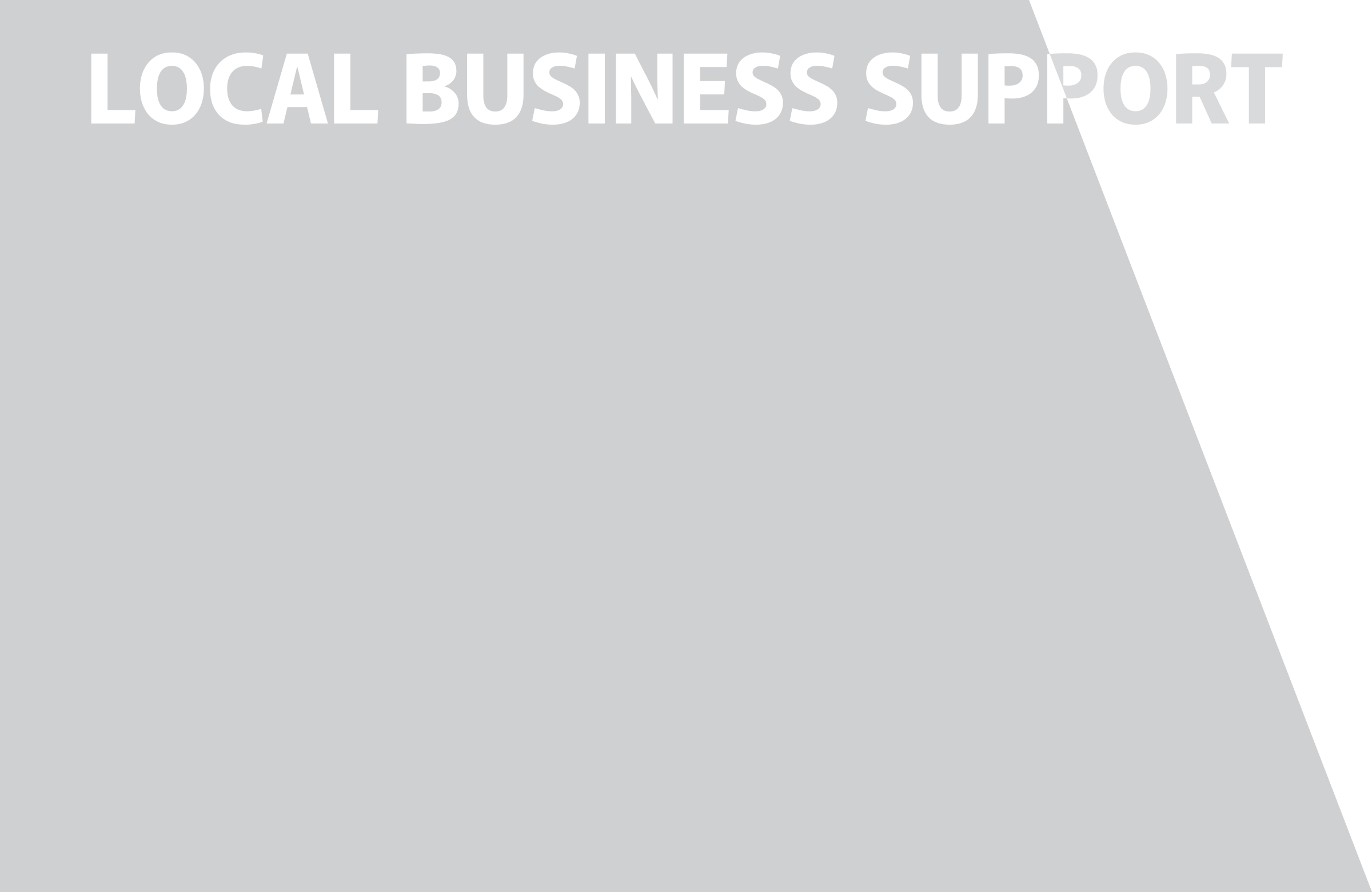 LOCAL BUSINESS SUPPORT