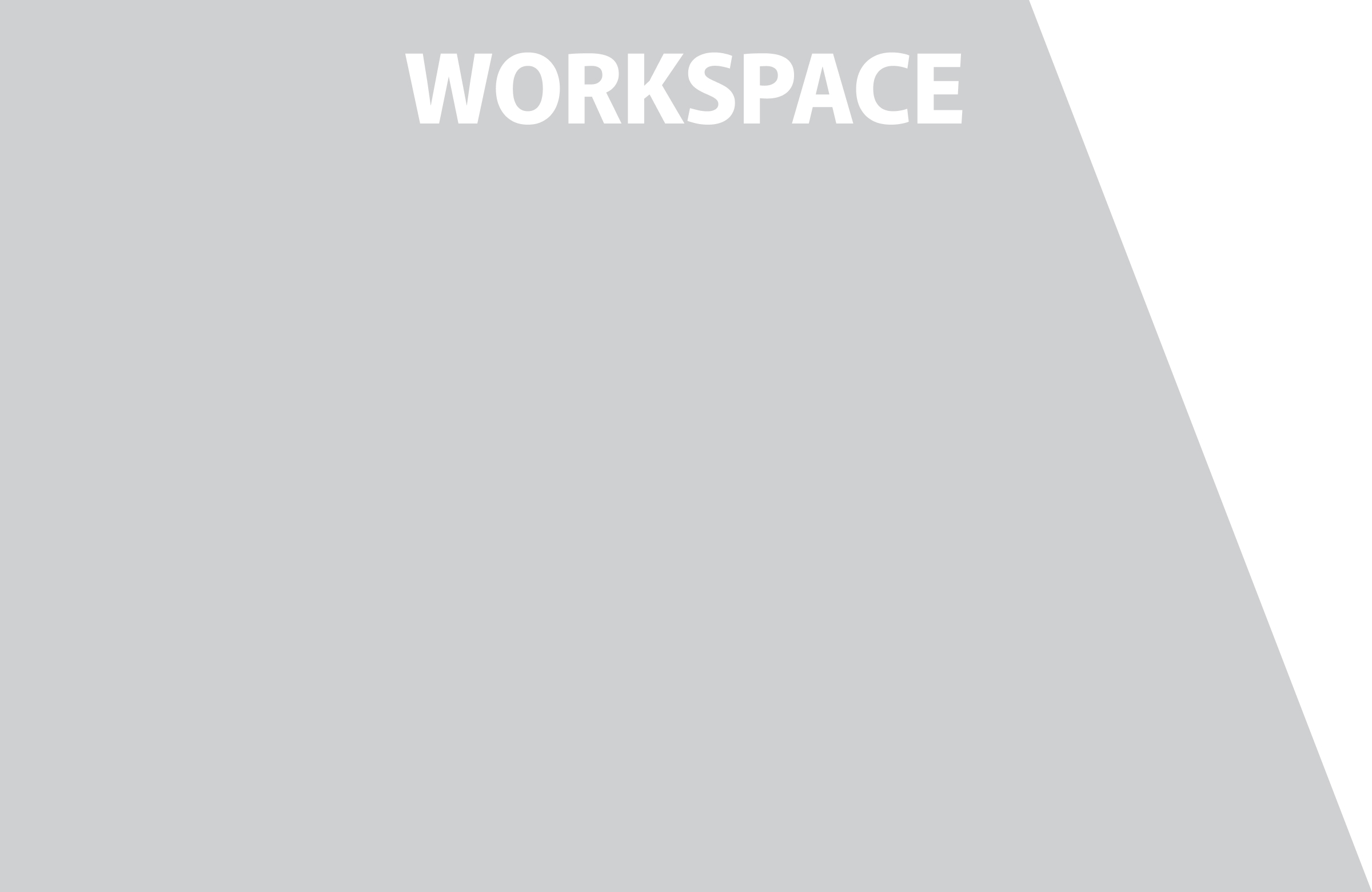 WORKSPACE